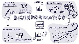 Bio Informatics